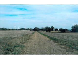 Tract 1 - 241 Acres Offered in 4 Tracts, Land Auction